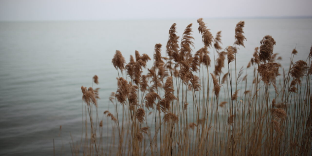 Intime Echos: Michael Cunninghams Roman Ein Tag im April als Erkundung von Wandel und Identität