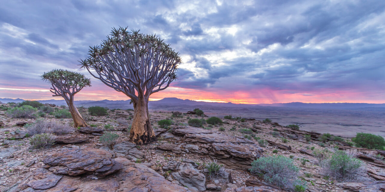 Why You Should Watch “Non-American” Queer Movies