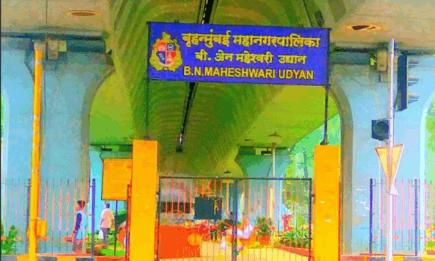 Go Back to Where You Came From