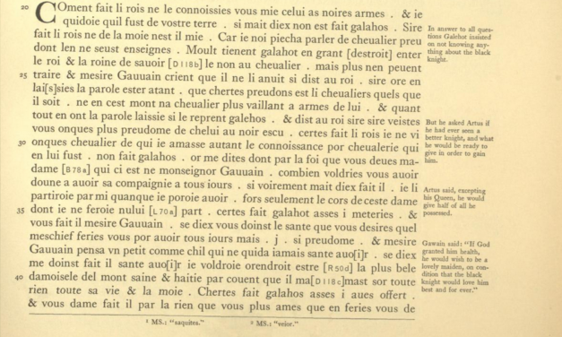 Littérature médiévale queer